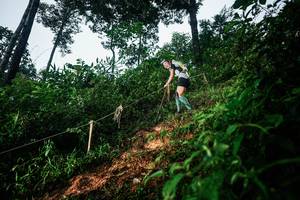 BIB: 
                            <button type="button" onclick="openModal(26201536)" class="btn btn-primary btn-sm float-right btn-popup" data-toggle="modal" data-target=".modal-high-quality">
                        <i class="fas fa-shopping-cart"></i> Add to Cart
                    </button>
                                            <button type="button" onclick="isThisMe(26201536, true)" class="btn btn-success btn-sm float-right btn-popup btn-isme hidden" data-toggle="tooltip" data-placement="bottom" title="นี่คือรูปของคุณใช่ไหม คลิกที่นี่เพื่อเอาเข้าอัลบั้ม">
                        <i class="fas fa-plus"></i> Add to album
                    </button>
                    <button type="button" onclick="isThisMe(26201536, false)" class="btn btn-warning btn-sm float-right btn-popup btn-isnotme hidden">
                        <i class="fas fa-ban"></i> Remove from album
                    </button>